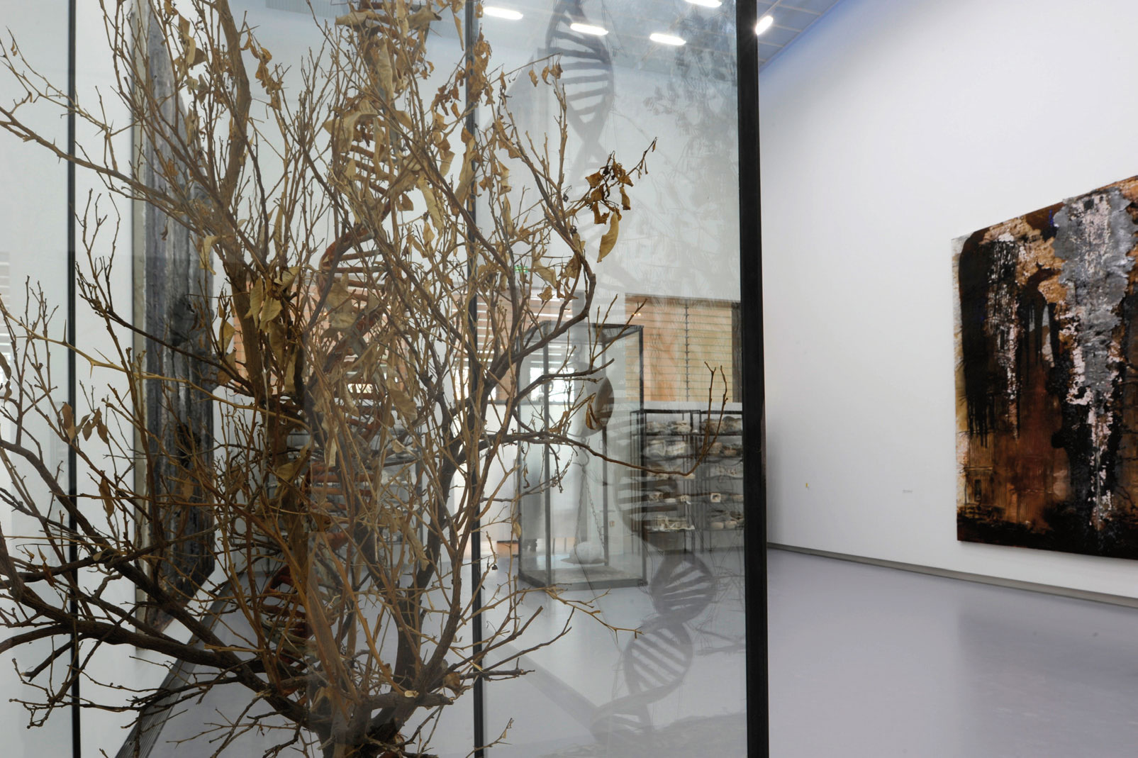 NAHBstudio architecture - nicolas adam studio | "KIEFER - RODIN"